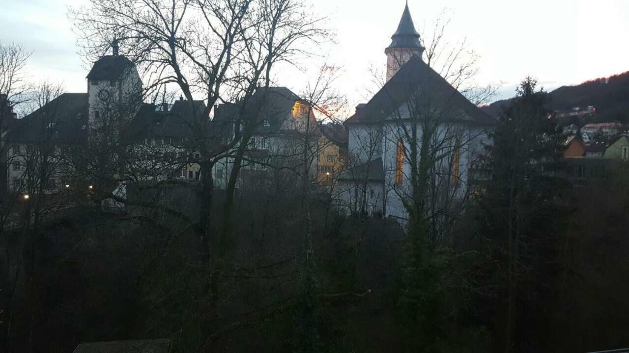 Waldshut Suite In Zentrum Екстер'єр фото